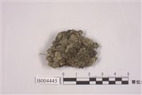 藏品(粗瓦衣)的圖片